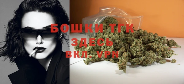 молекула духа Лабытнанги