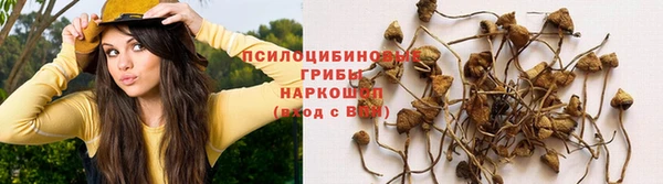 молекула духа Лабытнанги