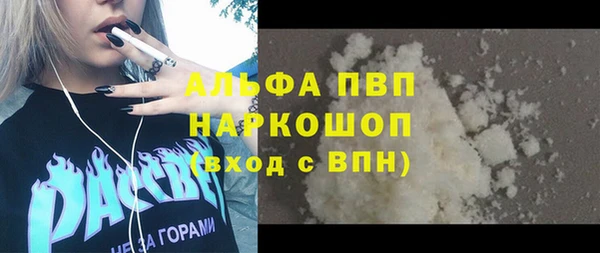 молекула духа Лабытнанги