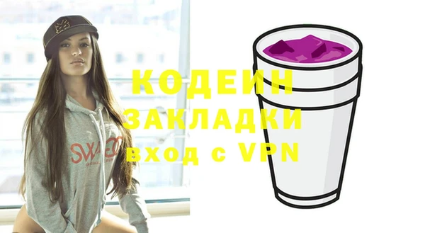 молекула духа Лабытнанги
