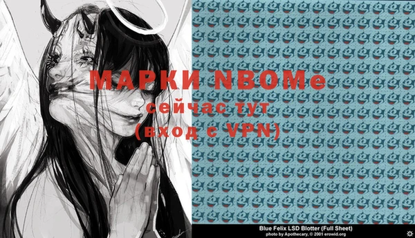 молекула духа Лабытнанги