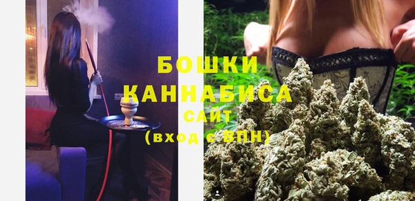 молекула духа Лабытнанги