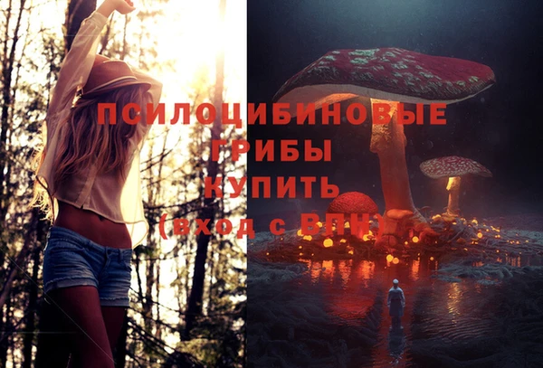 молекула духа Лабытнанги