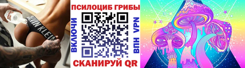 Галлюциногенные грибы Cubensis  Купить где  Куртамыш 